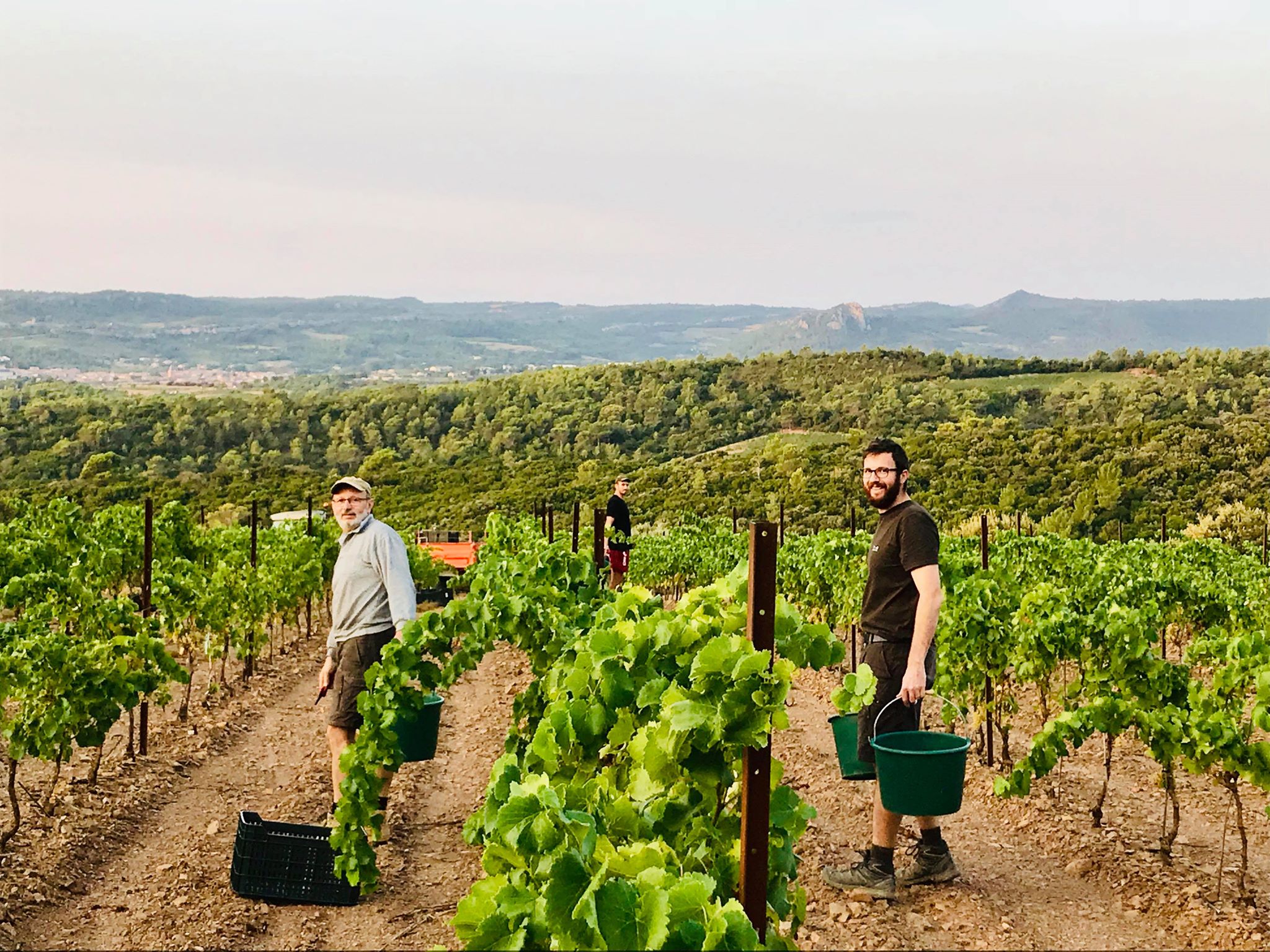 Domaine-de-la-Bosque-1