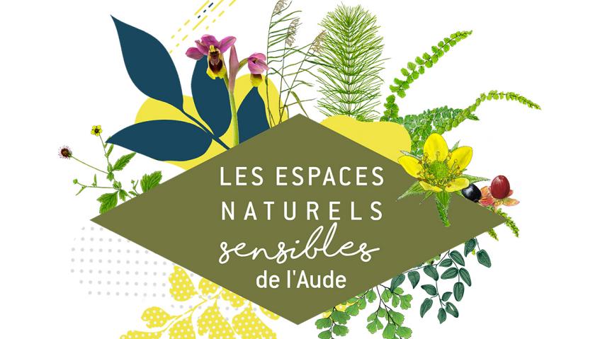 ENS - À LA RECHERCHE DE LA CRAPAUDINE