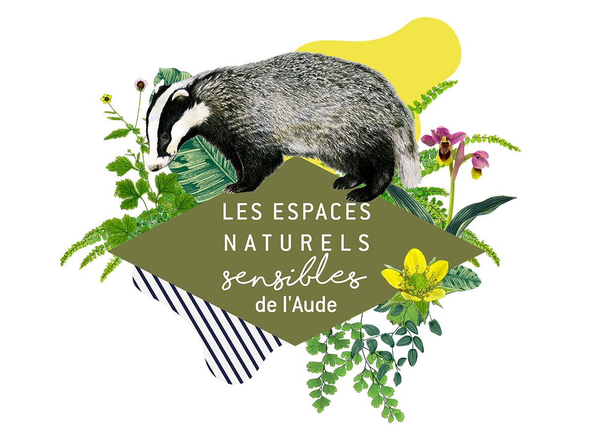 ENS - ET LE VENT SOUFFLE SUR LA CLAPE !