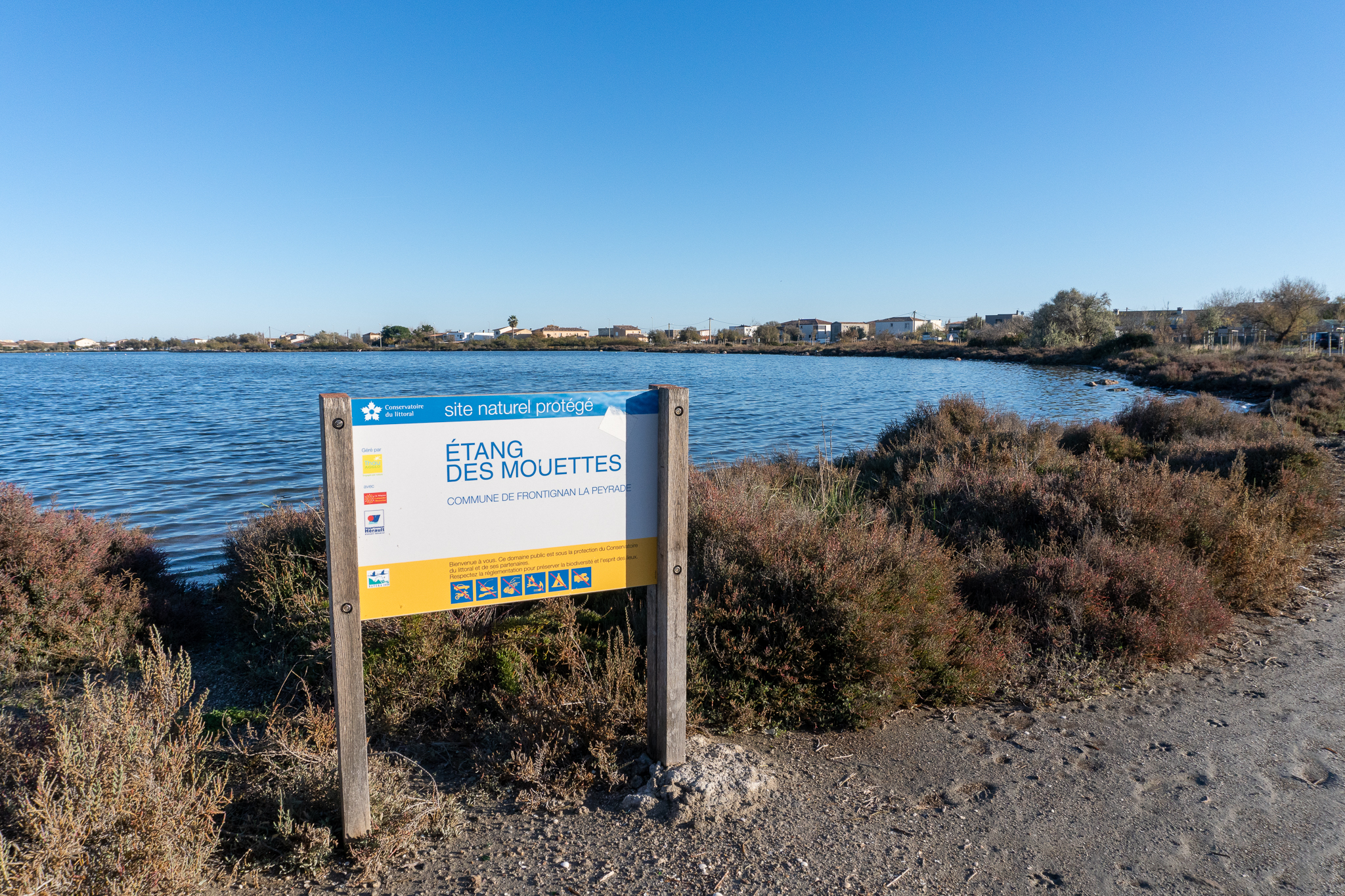 L'ÉTANG DES MOUETTES