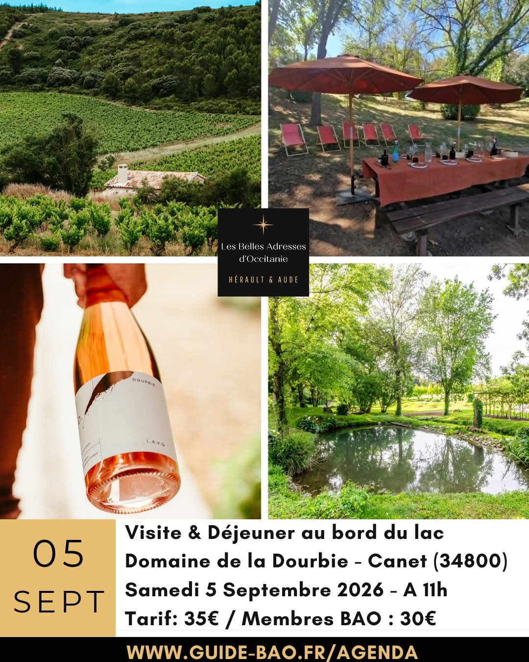 PIQUE NIQUE VIGNERON AU BORD DU LAC