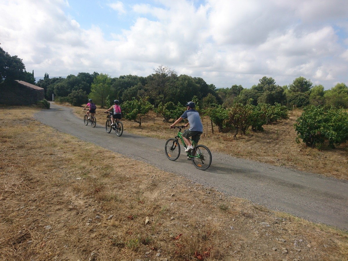 BALADE VIGNERONNE À VÉLO - JOAN FOURNIL