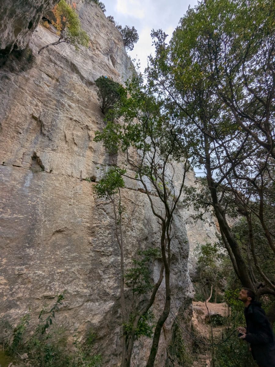 SITE D'ESCALADE DE FAUZAN, Cesseras - photo 4