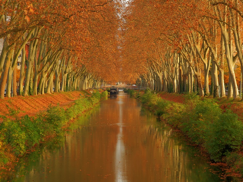 BEAU VOYAGE - photo 4