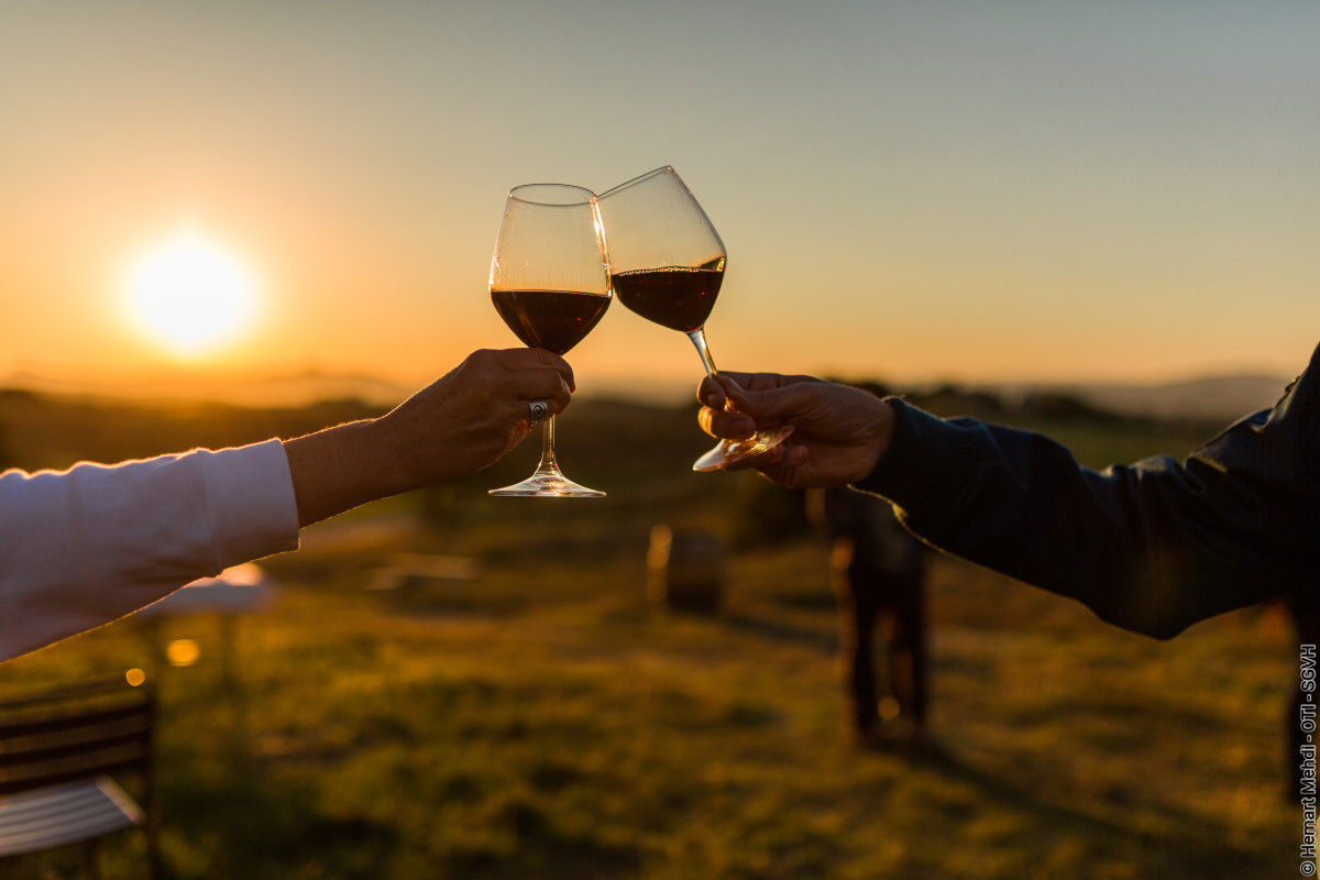 COUCHER DE SOLEIL ET DÉGUSTATION DE VINS - SAINT-GUIRAUD
