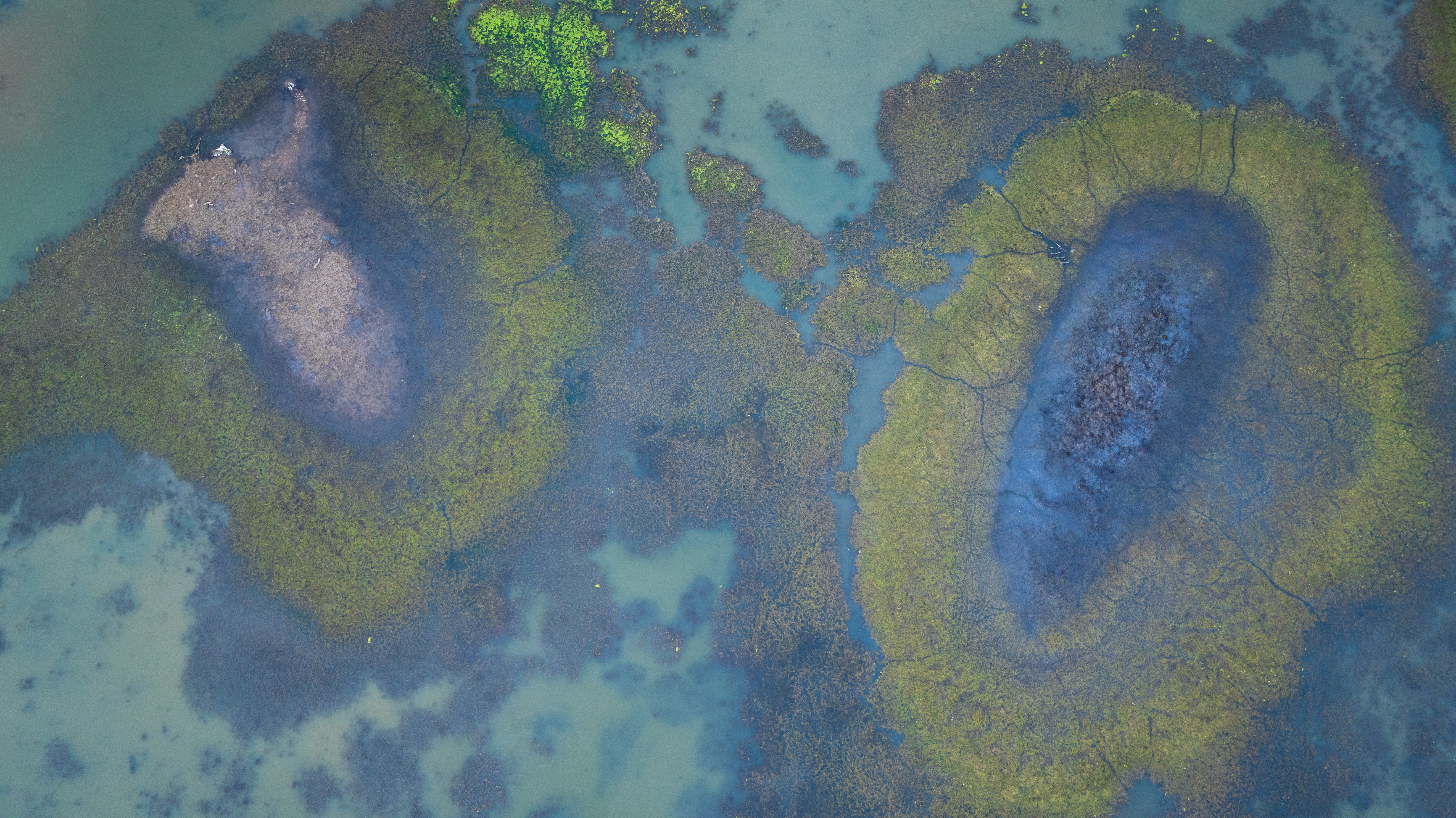 P.HILAIRE©DEPT34 P.HILAIRE©DEPT34