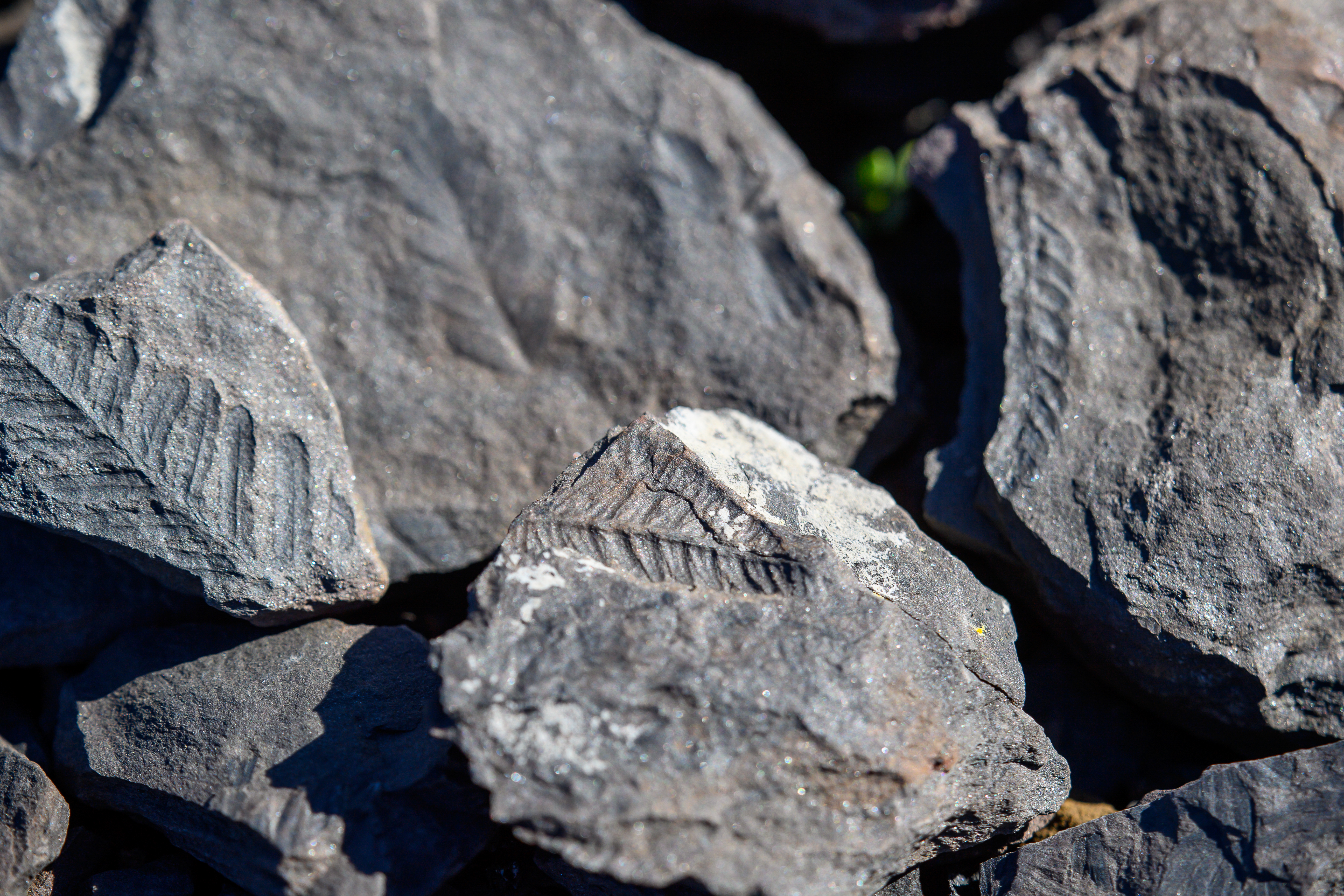 EXPOSITION : GÉOLOGIE ET PAYSAGES : DE LA PLANÈTE À L’HÉRAULT