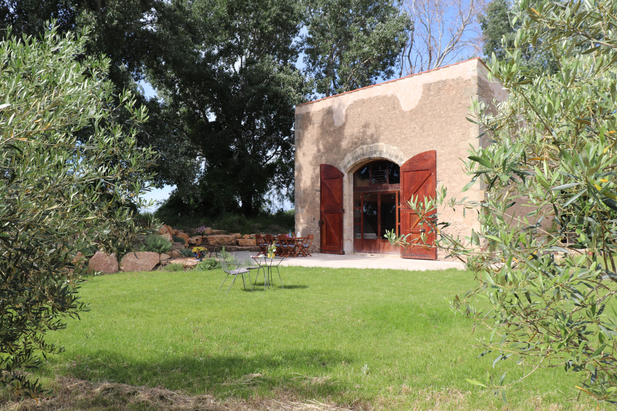 Gîte paisible entre vignes et oliviers