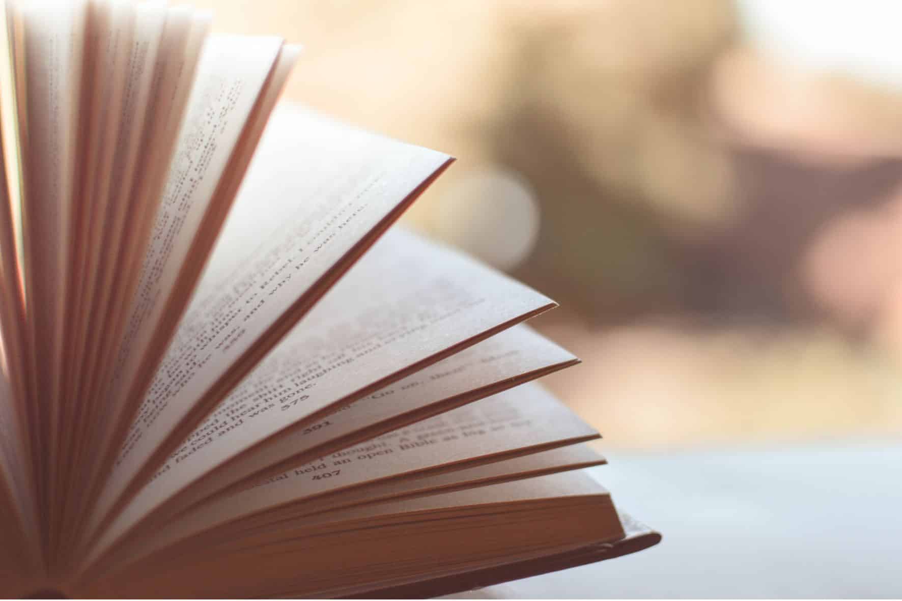 RENCONTRE DU GROUPE « LECTURE »