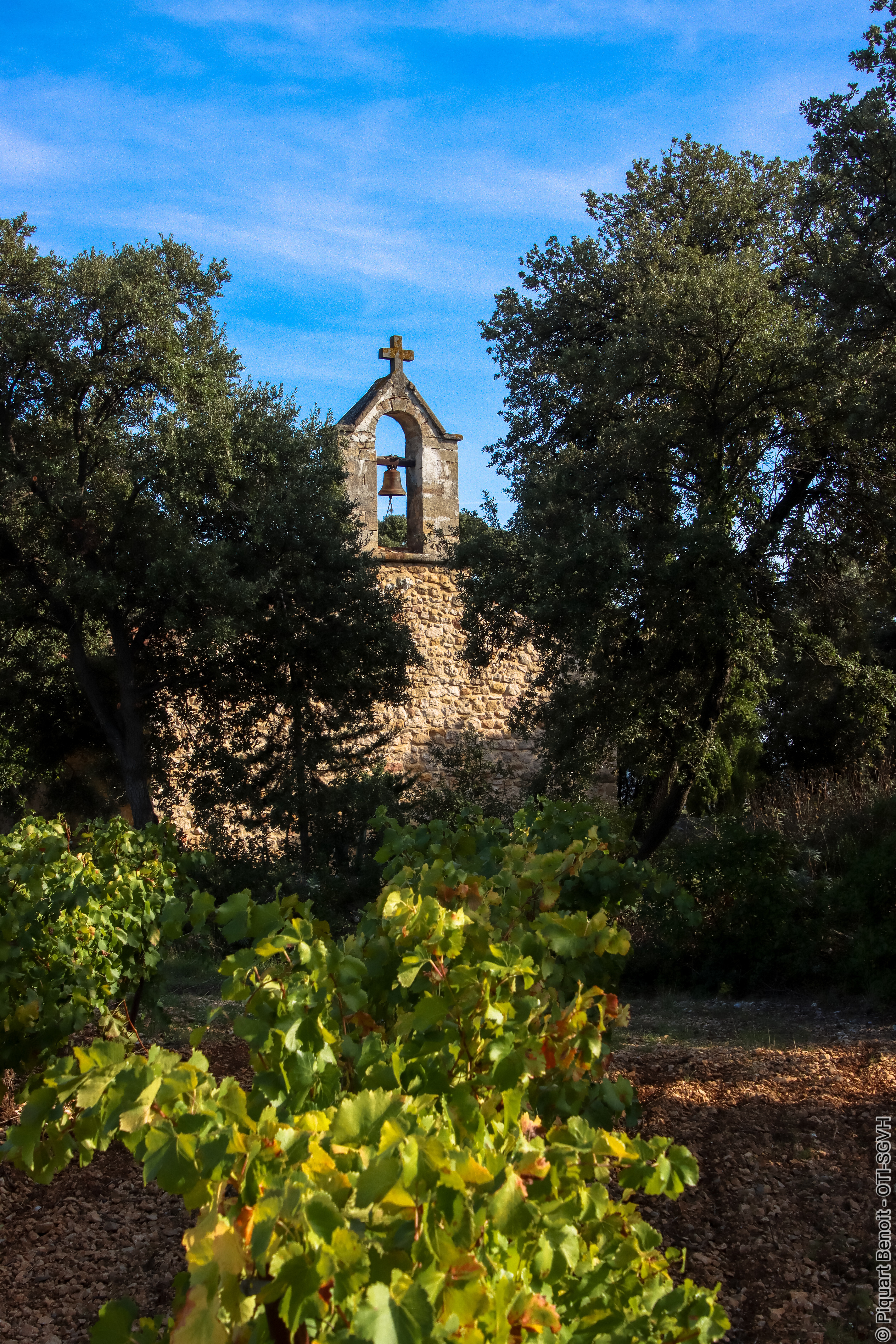 LA TRAÏLADES DES VINCOEURS
