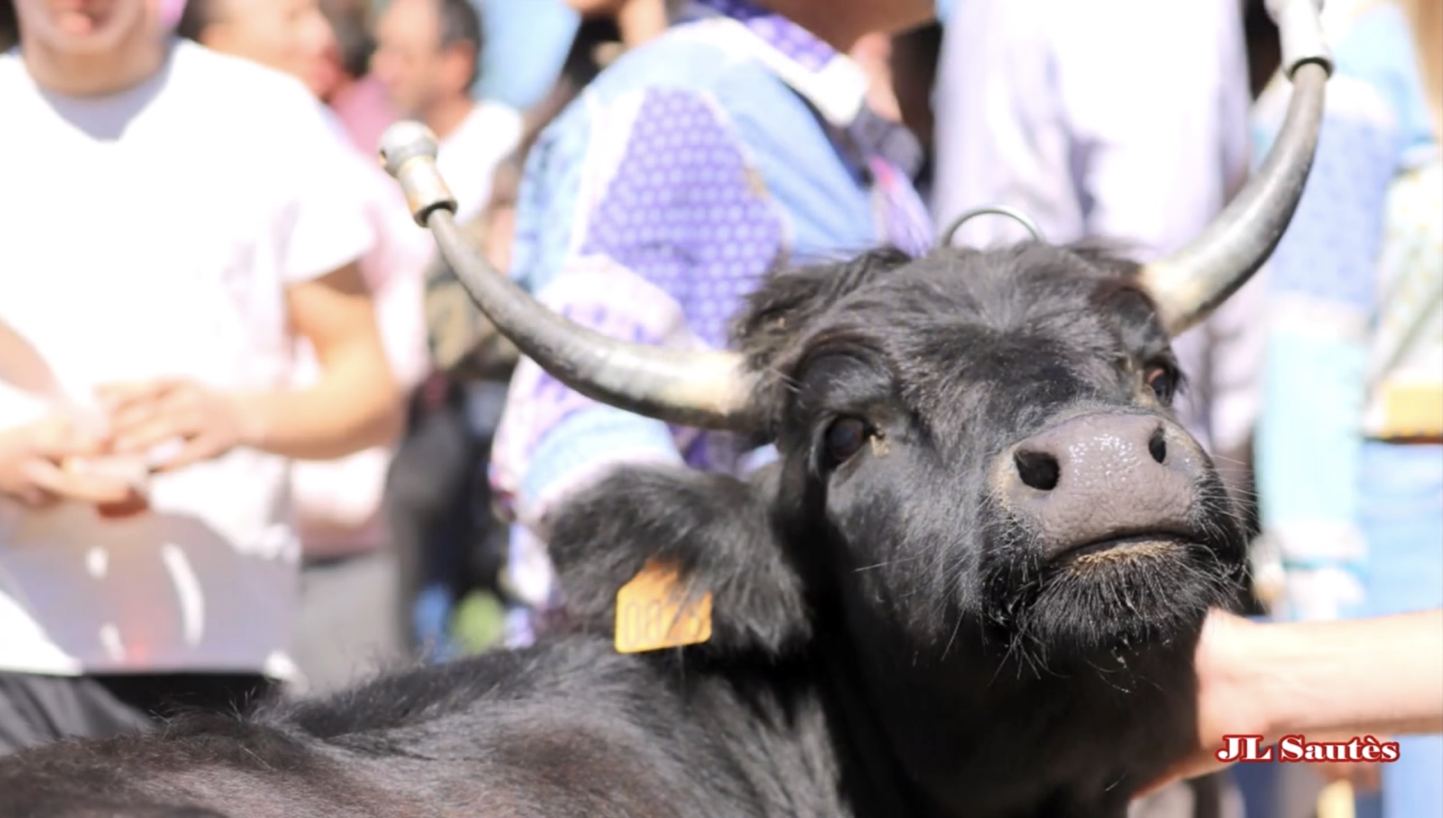 MANADE LOPEZ, Bessan - photo 7