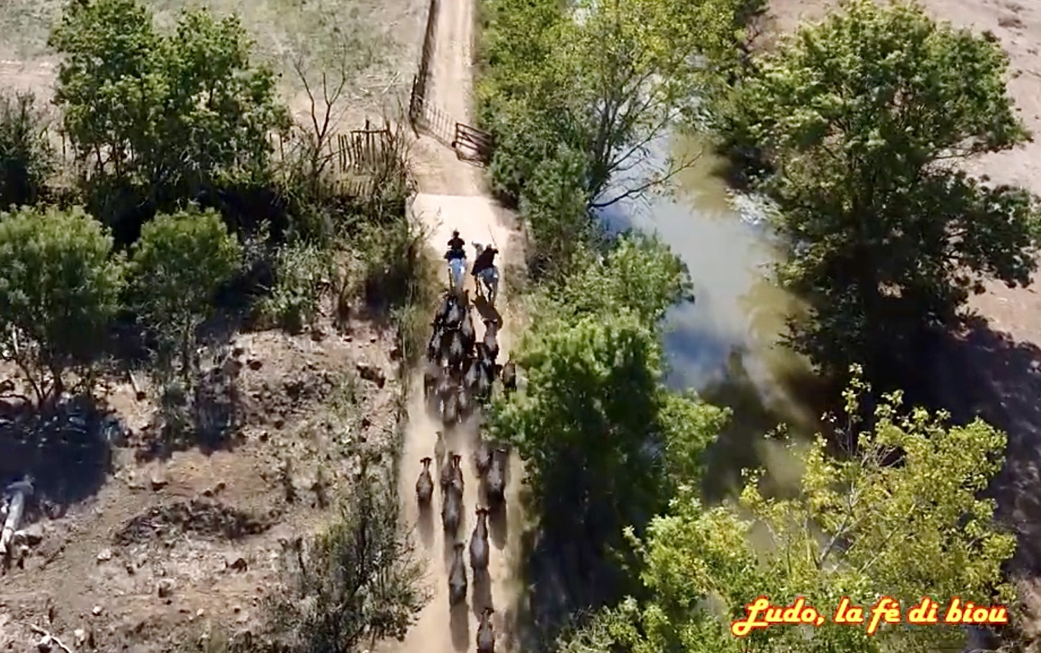 MANADE LOPEZ, Bessan - photo 6