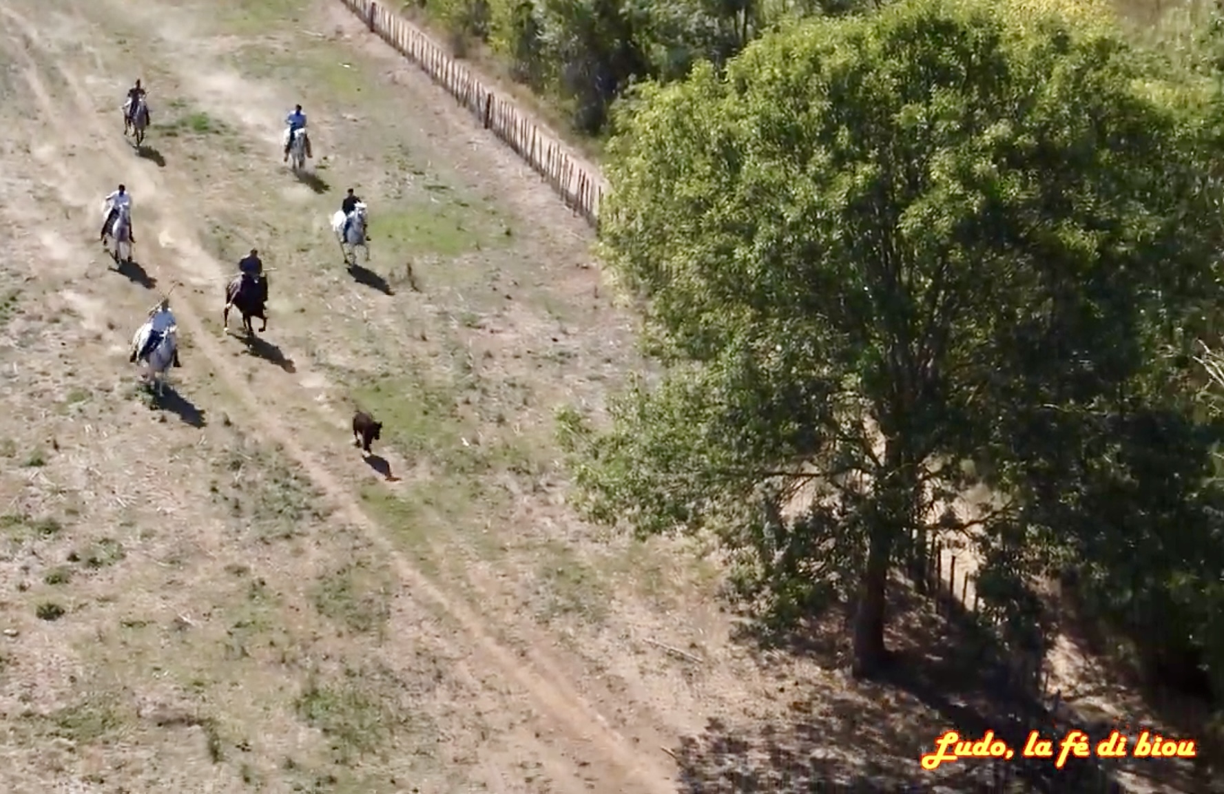 MANADE LOPEZ, Bessan - photo 10