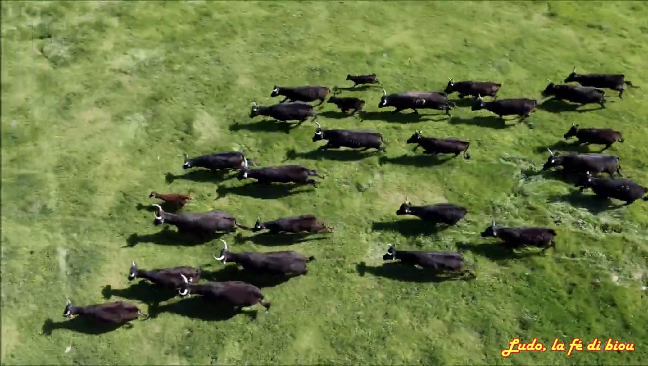 MANADE LOPEZ, Bessan - photo 12