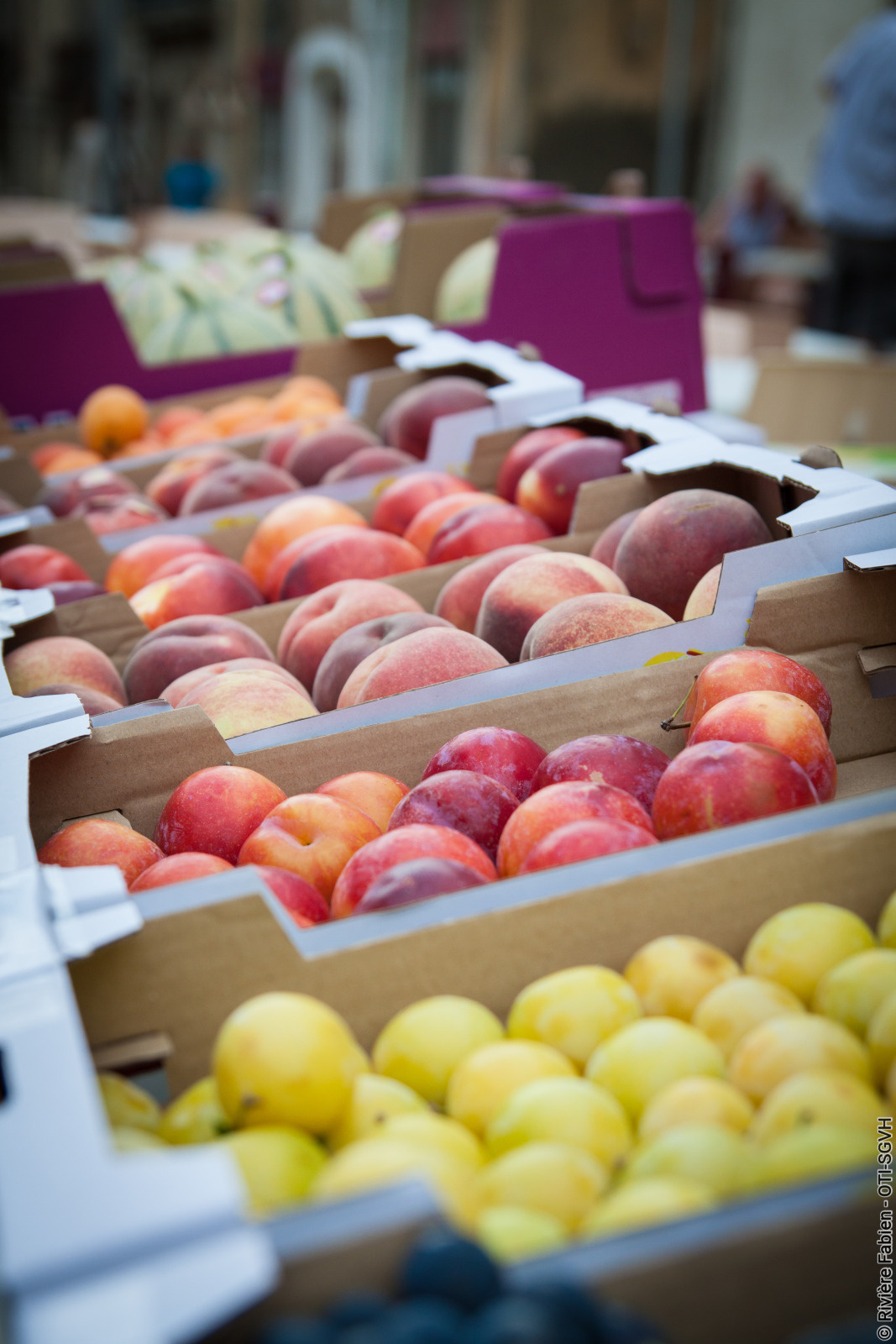 MARCHÉ DE SAINT-ANDRÉ-DE-SANGONIS