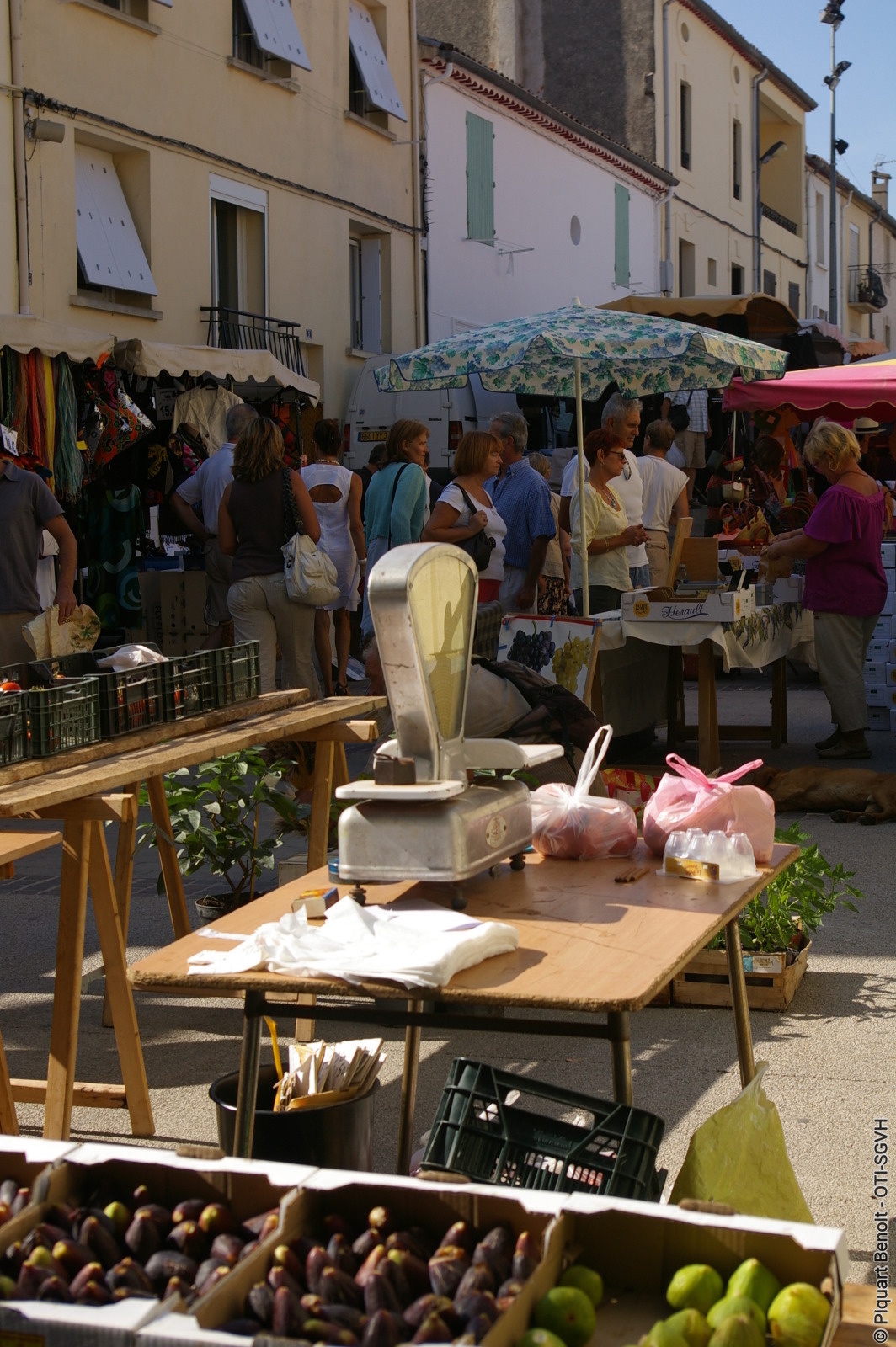 MARCHÉ DE GIGNAC — visuel événement