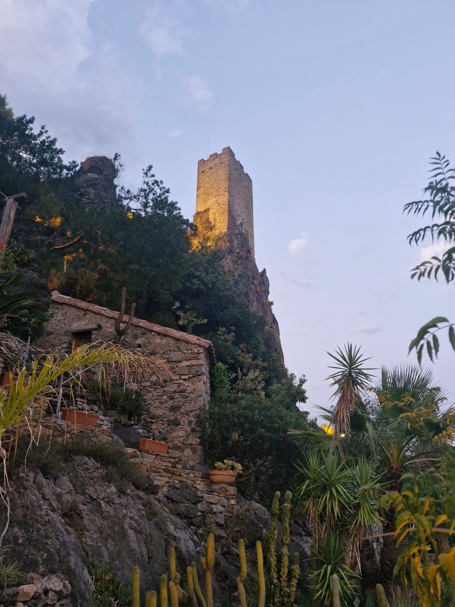 JARDIN_MED_visite_Sunset_EC (60)