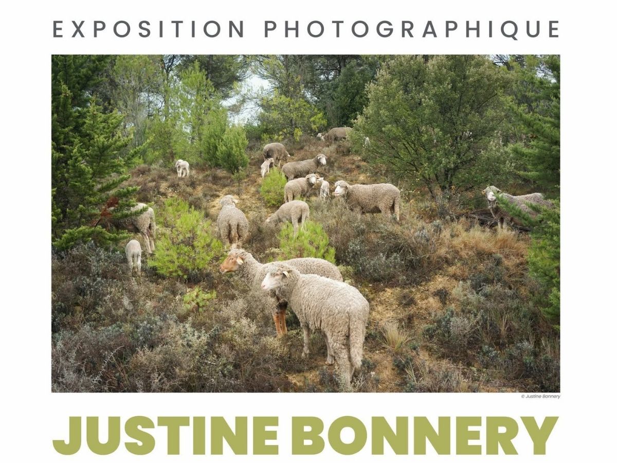 JUSTINE BONNERY : CHRONIQUES RURALES
