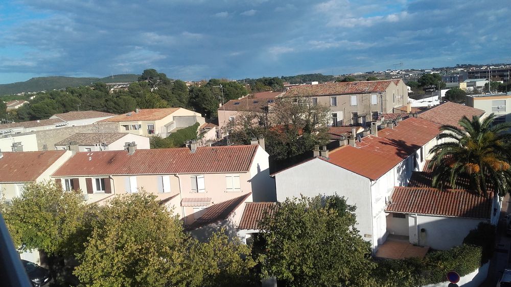 GIRAUD MARTINE - CITRONNIERS