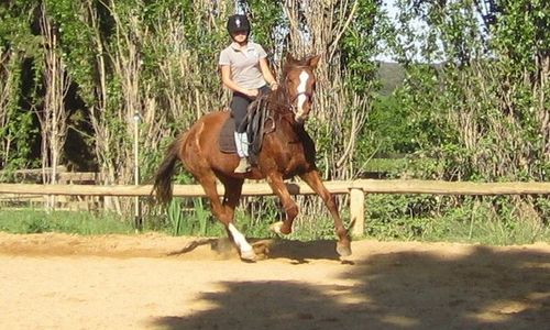 Le fer à cheval_equitation
