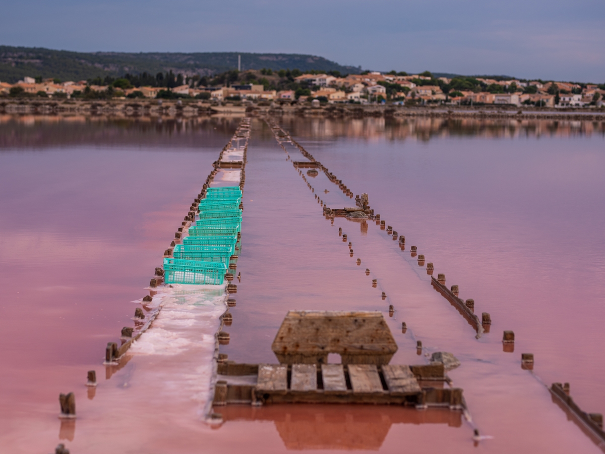 LE SALIN DE L'ÎLE SAINT MARTIN