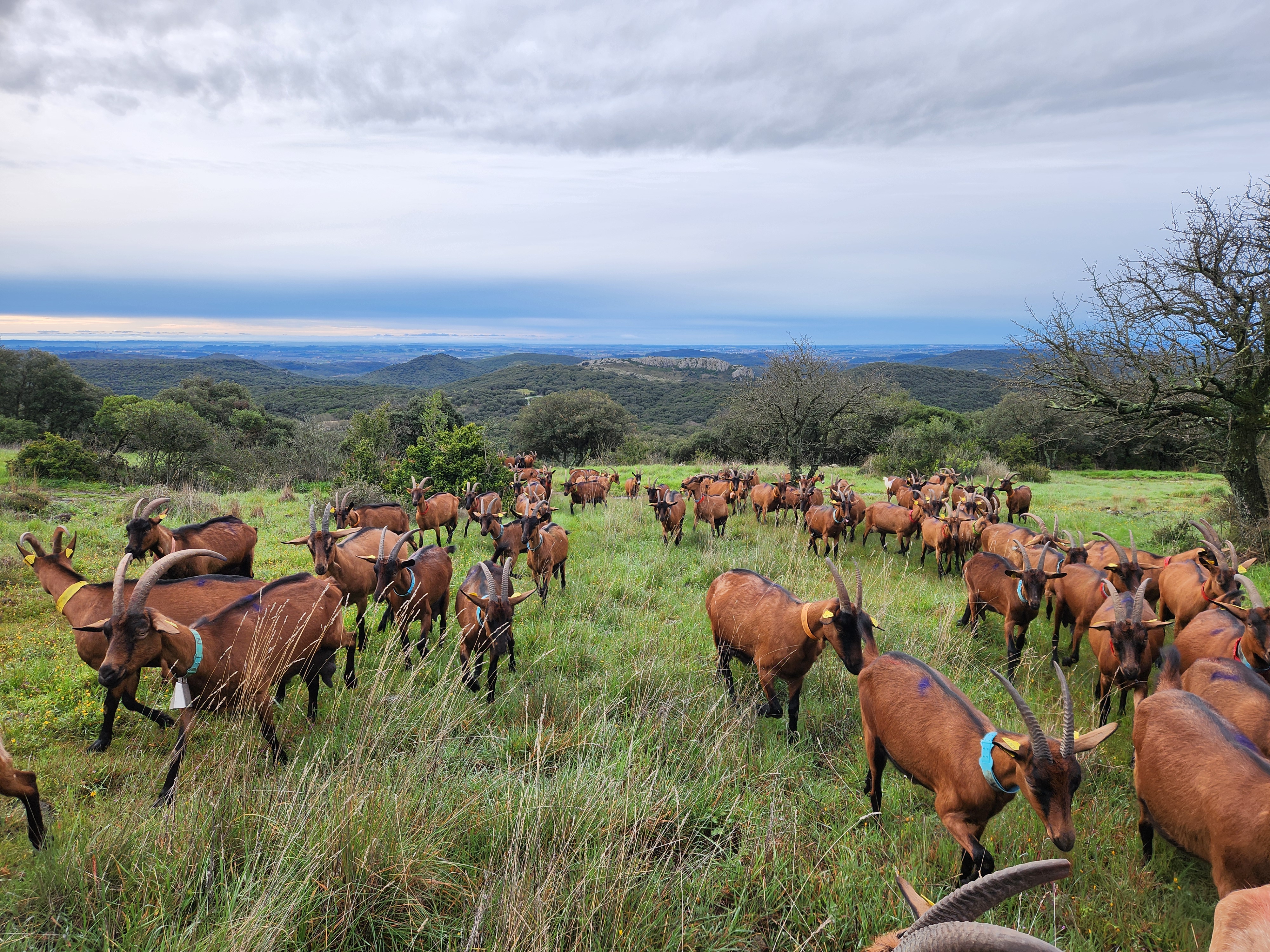 Ferme du Mas Rolland Ferme du Mas Rolland