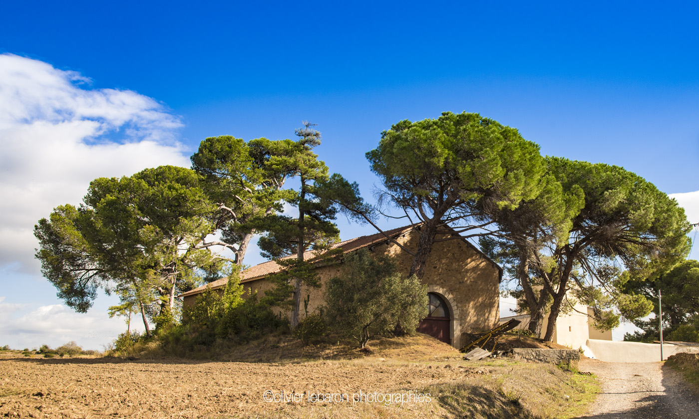 LES JEUDIS DES TROIS PUECHS