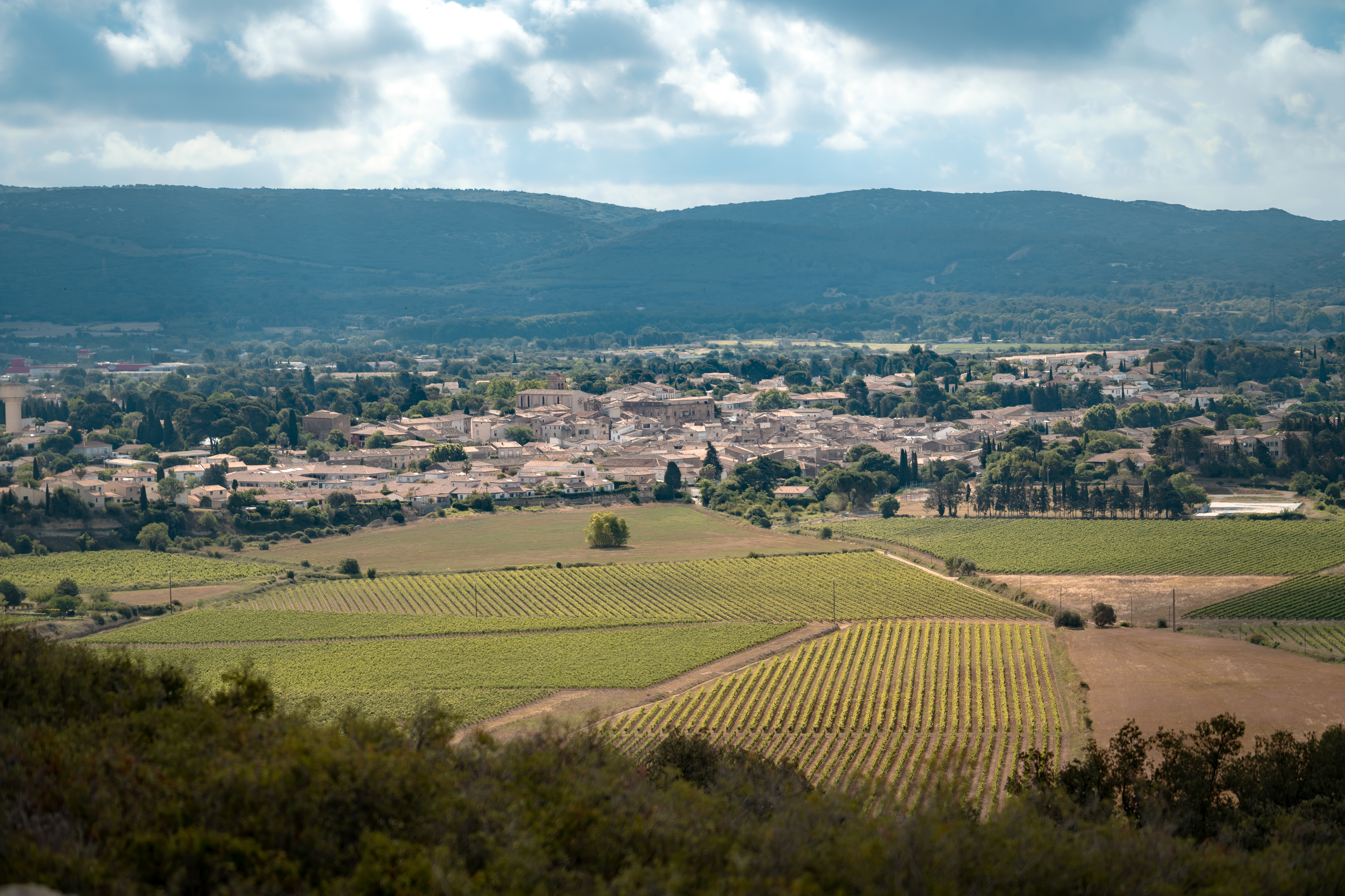 LA PLAINE DE FABRÈGUES - POUSSAN