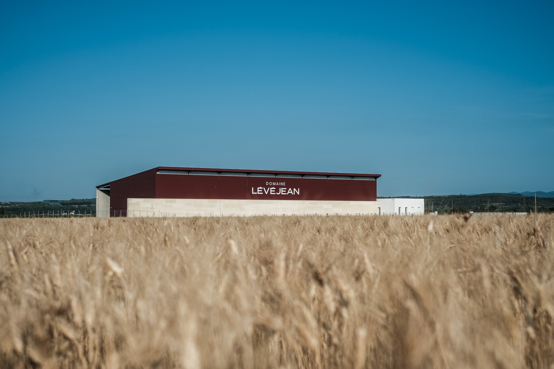 LES DÉGUSTATIONS ESTIVALES DU DOMAINE DE LÉVÉJEAN