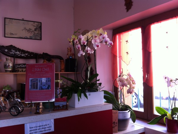 Linh-Chi (7)