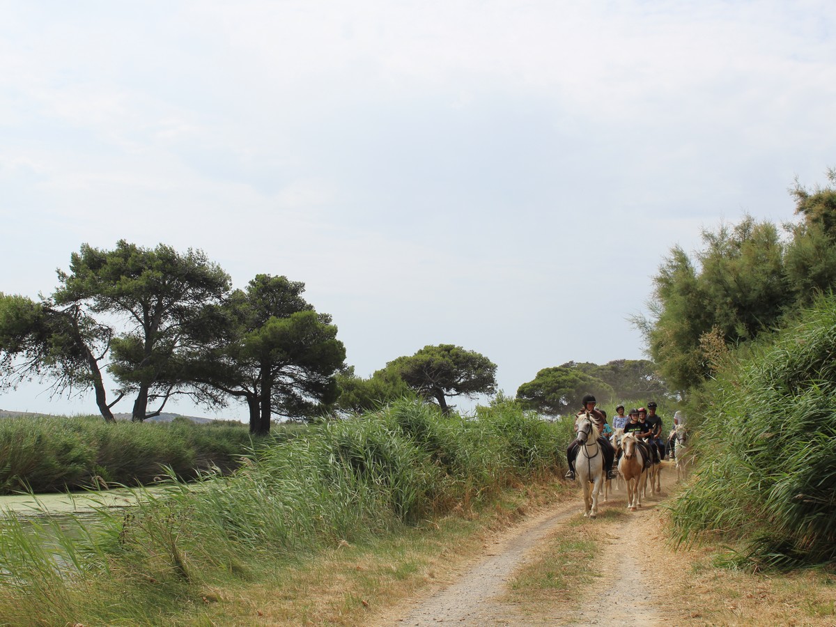 CAMAR'AD ÉQUITATION
