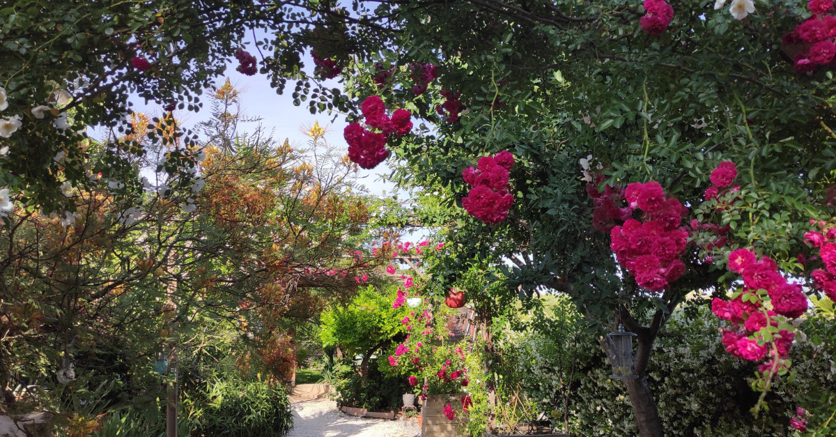 MAISON D'HÖTES COEUR DHERAULT
