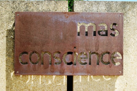 Mas Conscience - Pr+®sentation