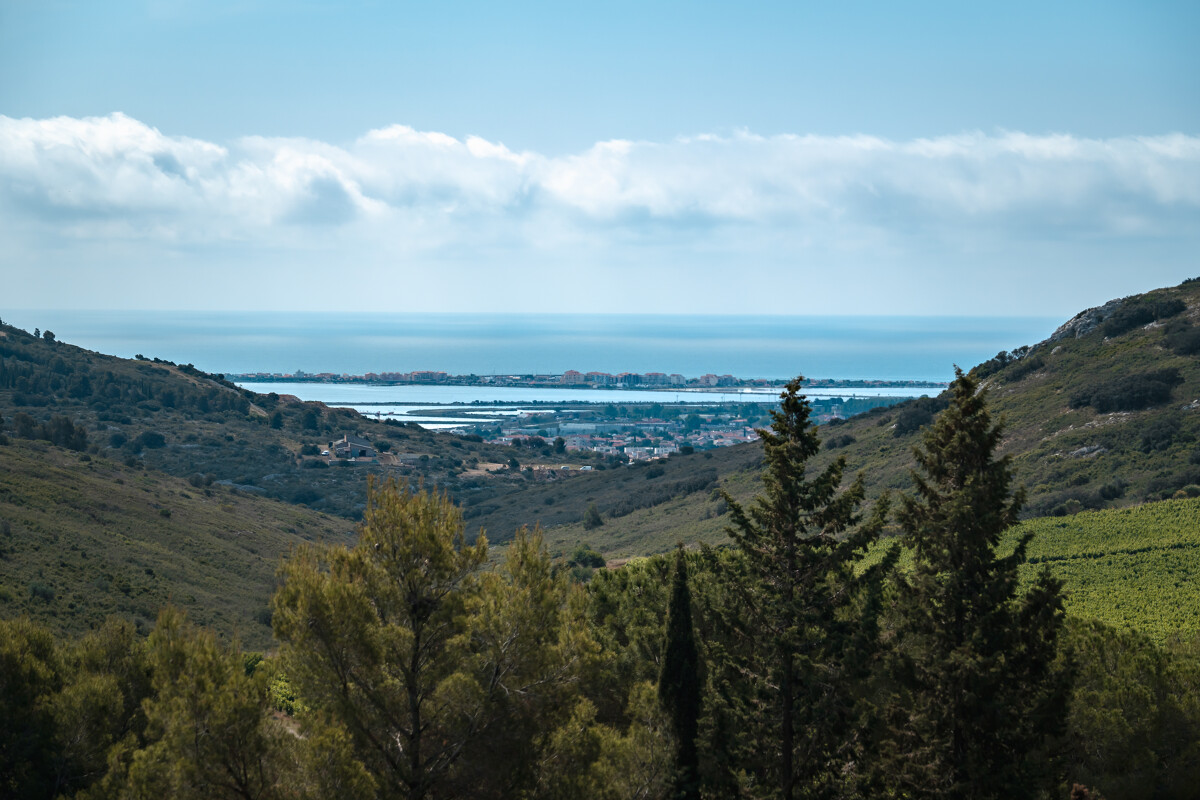 LE MASSIF DE LA GARDIOLE