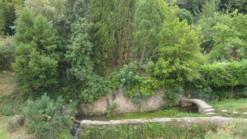 LA CARDABELLE — photo 3
