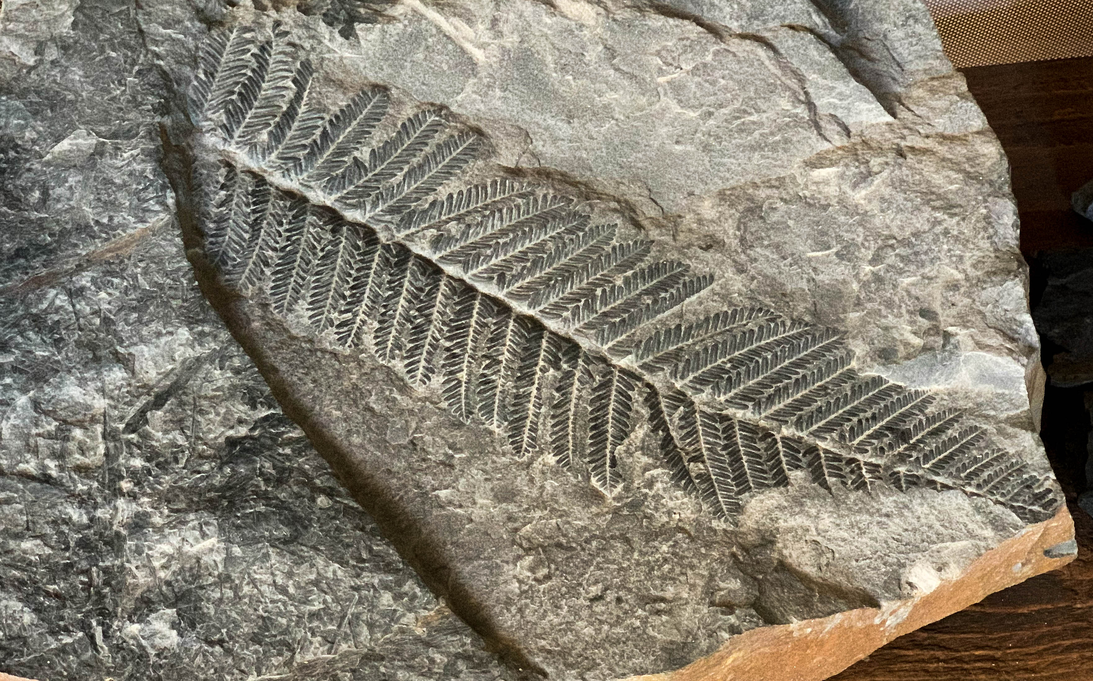 Musee de la lampe de Mine Boursquet d'Orb © Stephanie Durandkeller - Hérault Tou