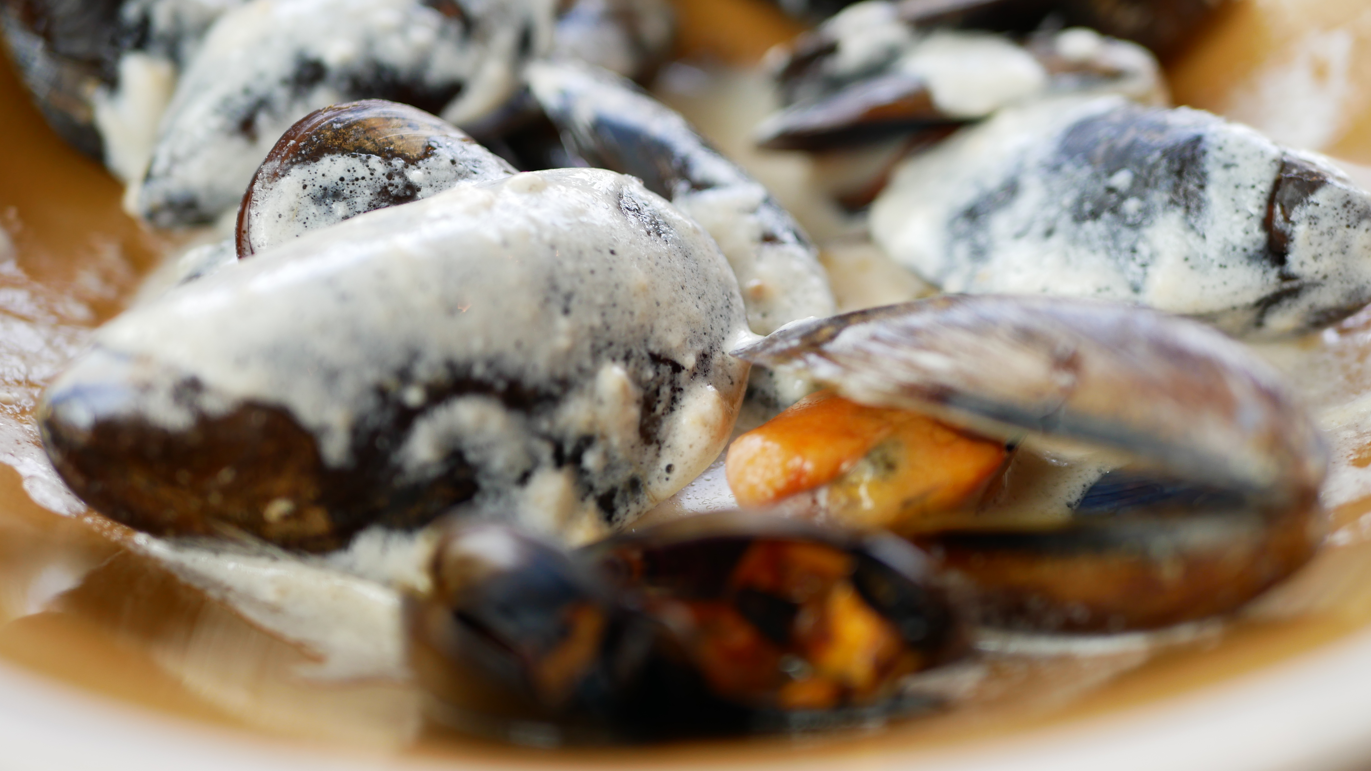 LE MIMOSA, Palavas-les-Flots - photo 6