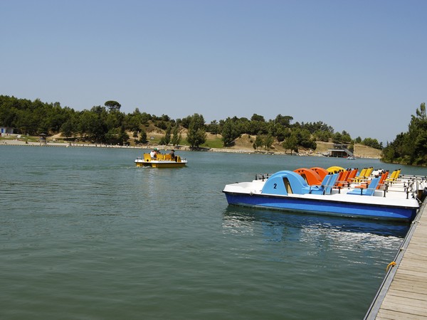 PEDALOS