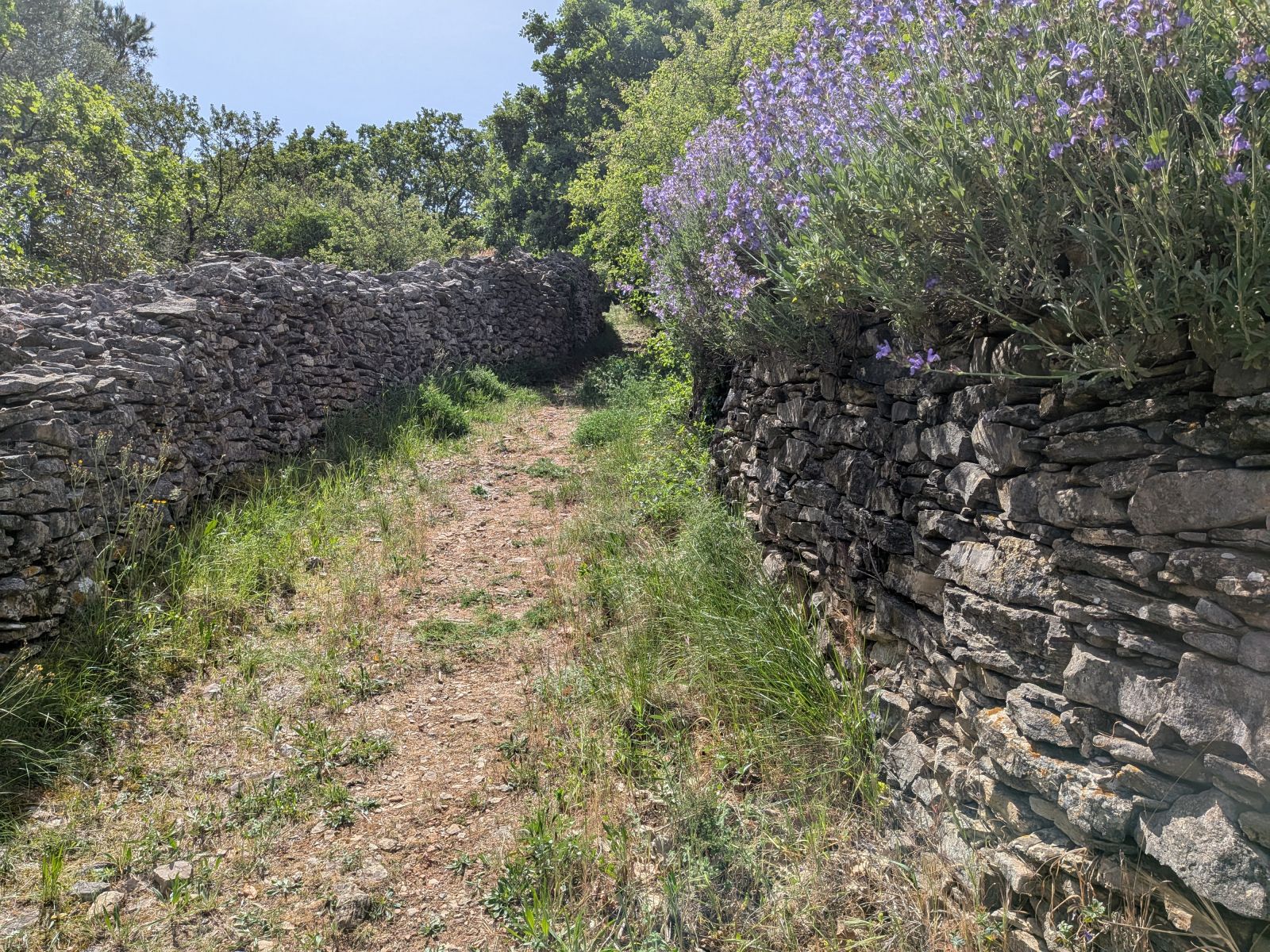 Le Causse