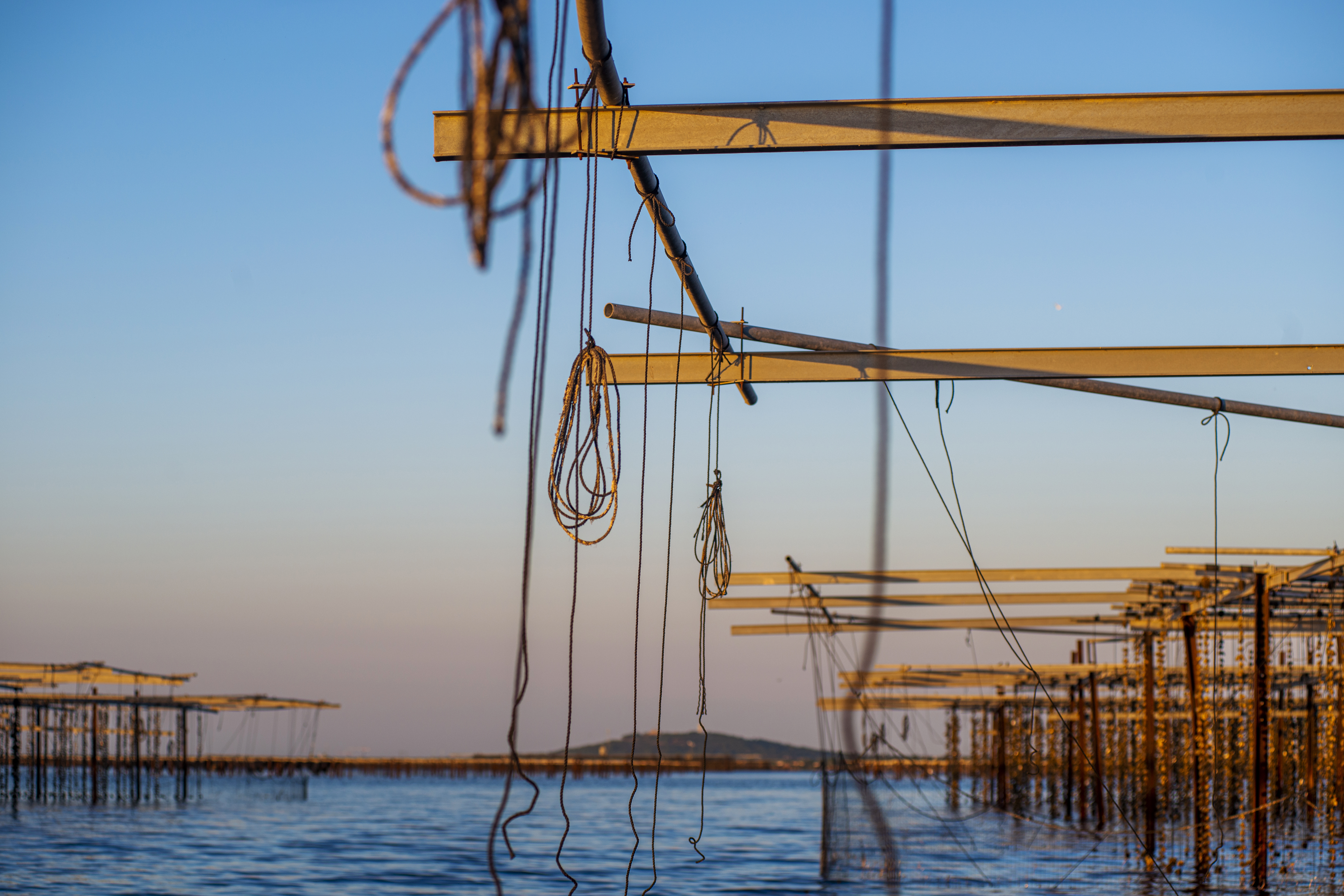 L'ÉTANG DE THAU, Sète - photo 3