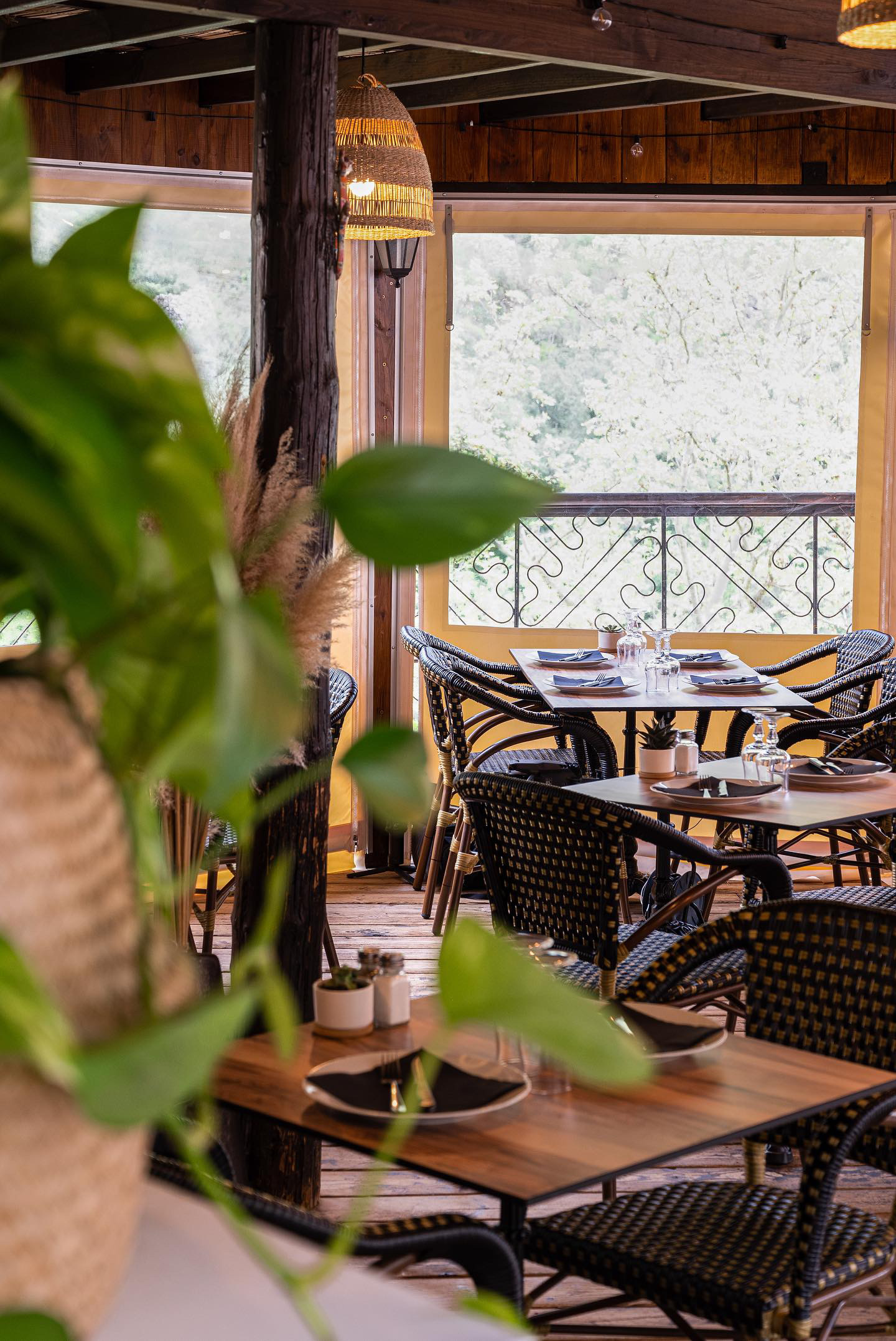 LE PETIT JARDIN (FERMÉ JUSQU'À NOUVEL ORDRE), Saint-Guilhem-le-Désert