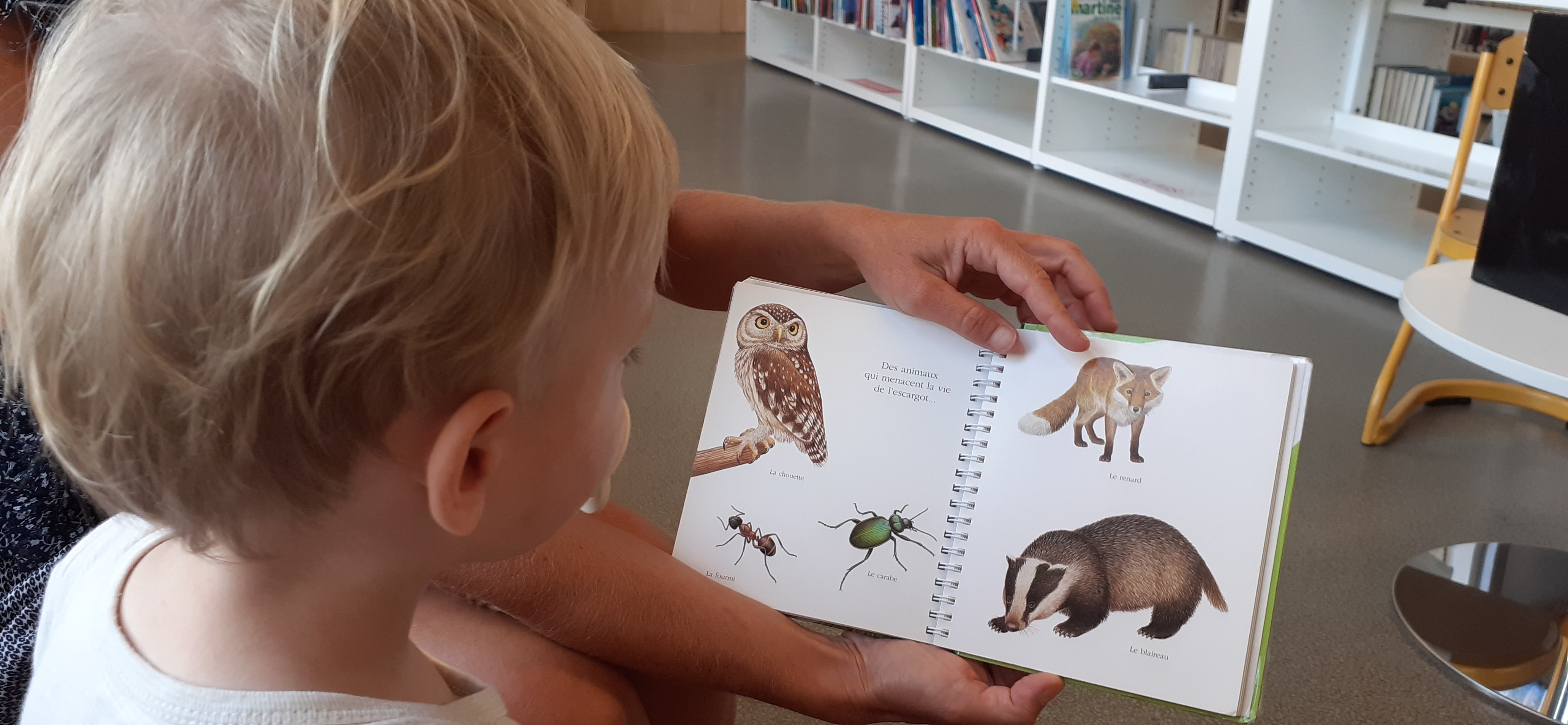 PETITES LECTURES « PRIX DES BÉBÉS LECTEURS »