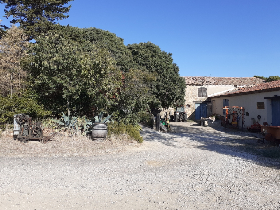 LA THONGUE, BIODIVERSITÉ ET TERROIR VITICOLE