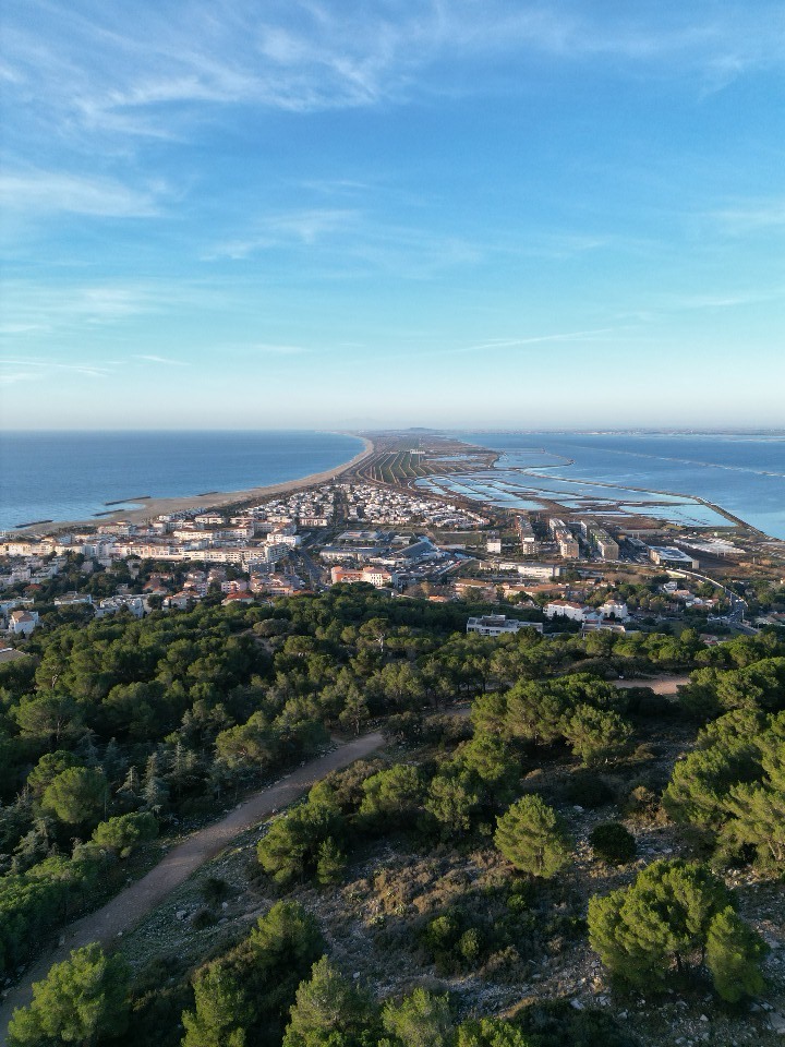 LA FORÊT DES PIERRES BLANCHES