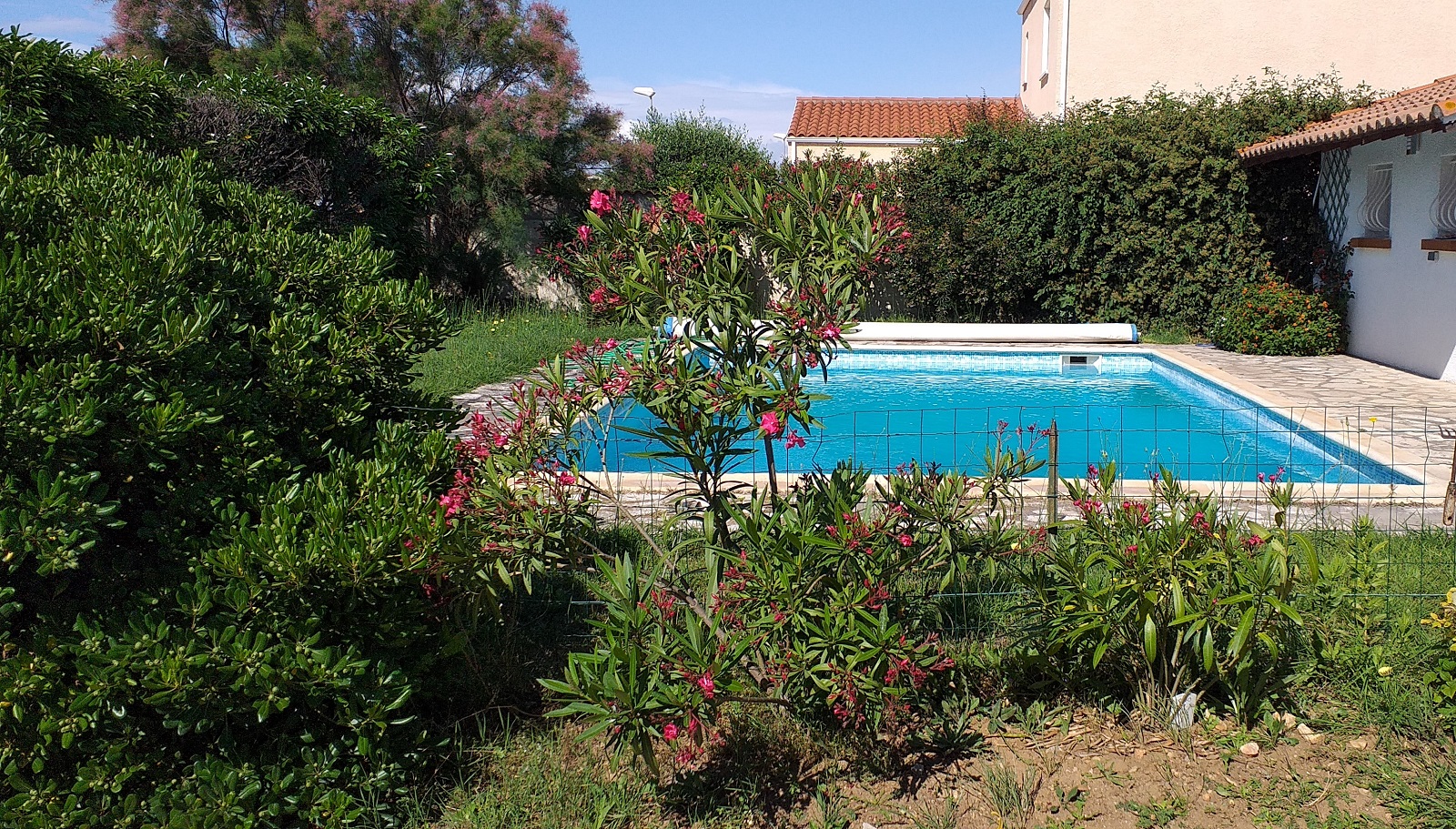 L'OLIVIERA, Sauvian - photo 3