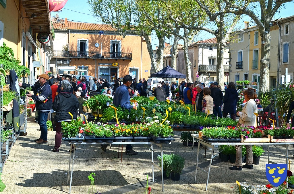 Ville de pomerols