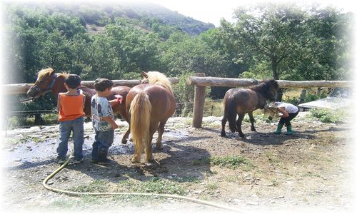 Poney club du pont de calmel - 1