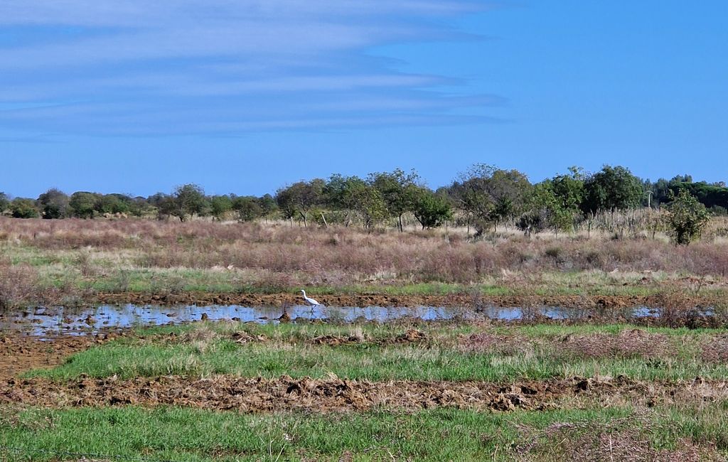 RÉSERVE NATURELLE NATIONALE DE ROQUE HAUTE