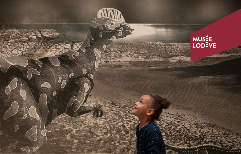 VISITE GUIDÉE : RACONTE-MOI LA VIE SUR TERRE