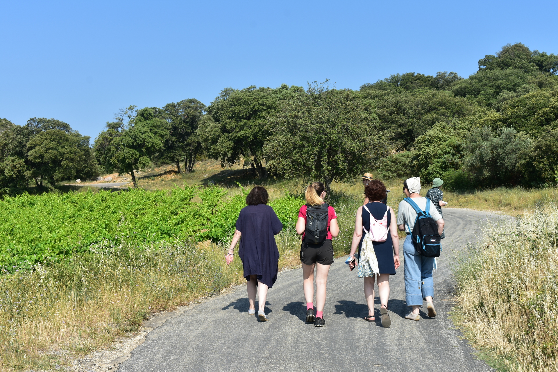 Randonneuses sur le sentier